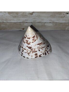 Giant niloticus trochus sea shell 4" Beach Coastal Decor Pink Burgundy Pearly